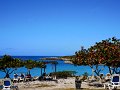 IMG_20190303_093631