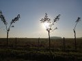 IMG_20190304_073924