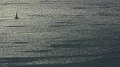 IMG_0734